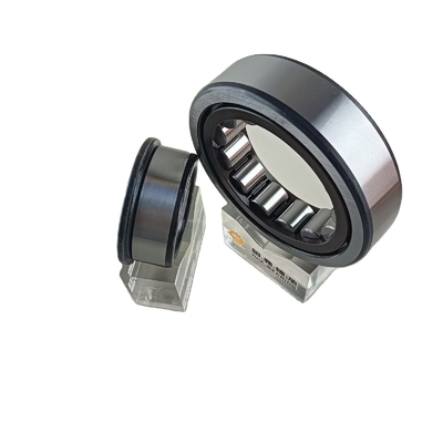 Μία σειρά 45*100*25mm NU/NJ/NF309ECP κυλινδρικό ελαστικό ελαστικό